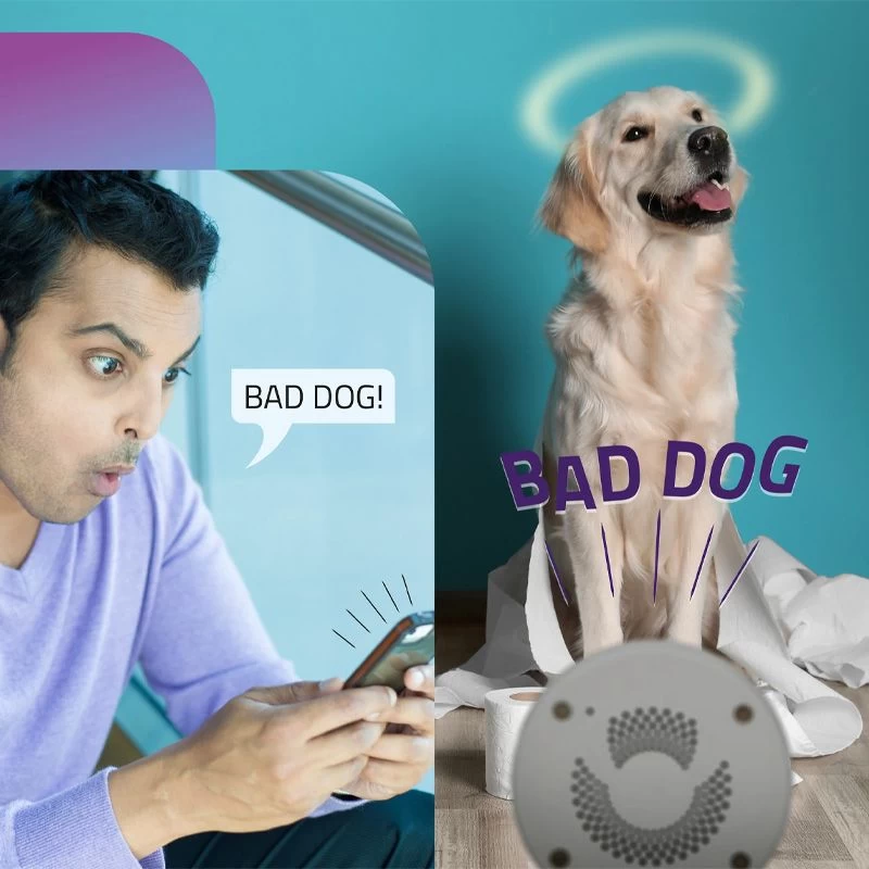 Alecto Smart - IP-camera SMART-CAM10 - Afbeelding 7